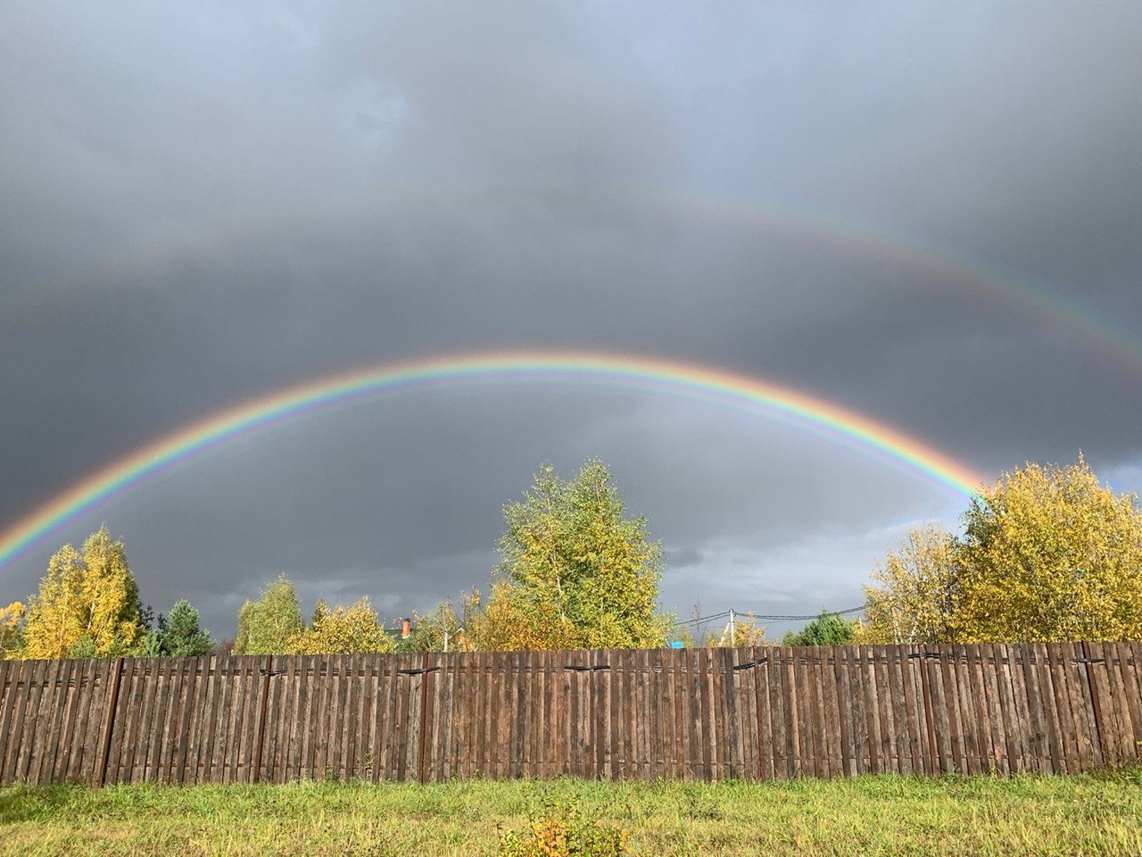 Как мы выбирали участок